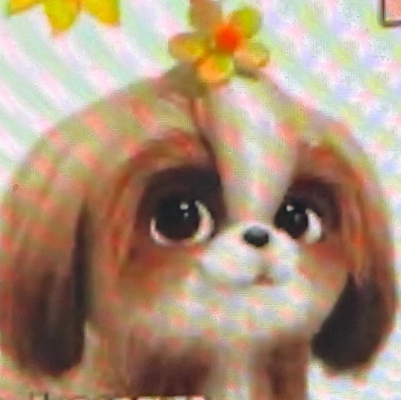 My Bio - Picture 6 of 8